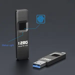 2 in 1 parmak izi şifreli USB Flash sürücü 64GB 128GB 256GB 512GB kalem sürücü parmak izi iPhone iPad için windows