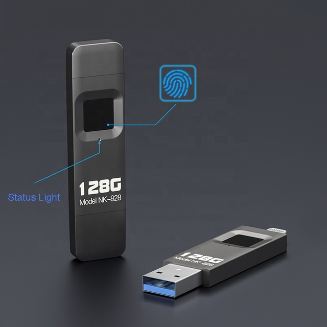 2 in 1 Fingerprint Encrypted USB Flash Drive 64GB 128GB 256GB 512GB Pen Drive Fingerprint for iPhone iPad Windows