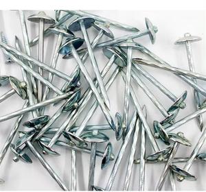Il mercato del sud America ha galvanizzato i chiodi d'acciaio 9G con la rondella di gomma di plastica ha intrecciato i chiodi del tetto - Product Image 2