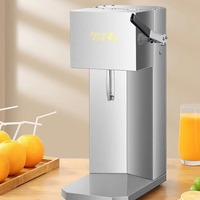 Presse-agrumes électrique commercial en acier inoxydable avec une puissance de 201-500W et une garantie d'un an