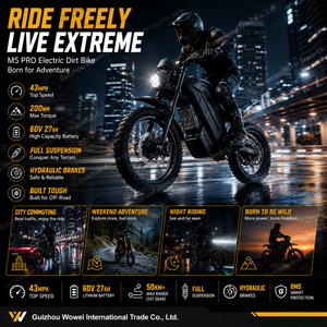 Bicicleta de Acero de Alto Carbono 60V 27AH, Directo de Fábrica, 200Nm, Bicicleta para Adultos, OEM Personalizada, Vehículo de Dos Ruedas, Venta al Por Mayor - Product Image 1