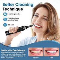 Polisseur dentaire électrique pour usage domestique, outil de nettoyage et de blanchiment des dents avec têtes de polissage remplaçables