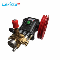 Penggunaan Pertanian Pompa Plunger Tekanan Tinggi Sabuk Drive Washer Pompa Semprot Peralatan Troli Mesin Bensin Power Sprayer