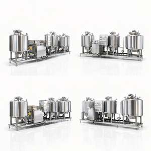 Línea de Producción de Yogur Económica y Rentable Ace con Configuración Básica para Pequeñas Empresas y Marcas Emergentes de Bebidas - Product Image 5