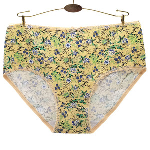 Nouveau style culotte grande taille bon marché belle culotte grande taille <span class=keywords><strong>à</strong></span> impression florale pour femme - Product Image 6