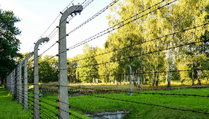 Kawat Berduri Galvanis Berkualitas Baik Berlapis PVC Australia Pagar Luar Ruangan Kawat Berduri Terpilin Ganda Gulungan Pagar Keamanan - Product Image 5