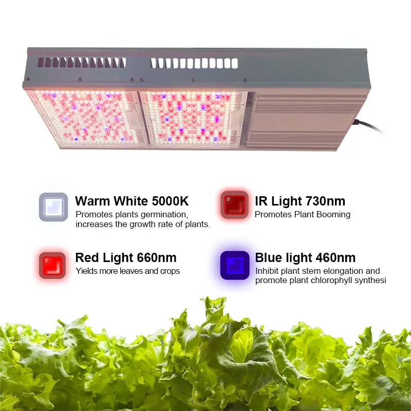 ไฟปลูกต้นไม้ LED พลังงานแสงอาทิตย์800W 650W LED สเปกตรัมเต็มสเปกตรัมสีฟ้า HPS CT