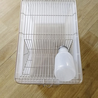 Fabricant vente en gros personnalisé à bas prix vente baignoire rat boîte cage à souris de souris de laboratoire rat cage d'élevage souris