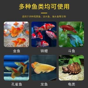 Solution de bleu de méthylène Dongyujiang 710 ml pour le traitement de l'eau des aquariums, utilisation en eau douce et salée - Product Image 2