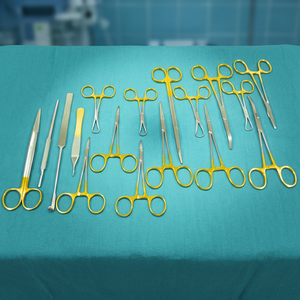 Kit de Instrumentos Quirúrgicos Veterinarios Manuales Ametrine Surgical AS-786 de 48 Piezas con Mango Dorado para Cirugía General y Odontología (Certificado CE) - Product Image 4