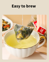 Marque Blanche 30 Sachets Boisson Quotidienne Multi-Ingrédients Bien-être pour Adultes, Tisane aux Feuilles de Mûrier et au Melon Amer