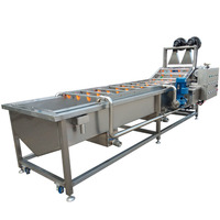 Kleine Schaal Automatische Continue Fruit Groente Bubble Wasmachine En Sorteren Machine Plantaardige Wasmachine