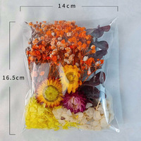 Bunga Abadi Seri Babys Breath Hydrangea Aneka Ragam Perlengkapan Kerajinan DIY Lilin Kipas Lipat Dekorasi Resin Epoksi Kering