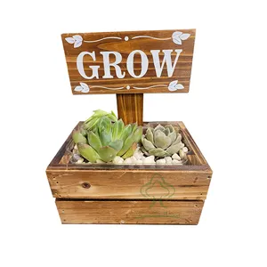 Wooden Planter Boxes for Indoor Decorative Rectangular Flower Pots Rustic Carbonized Wooden Planter with Grow Sign