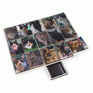 Custom Cute Cat Refrigerator Magnets <b>Creative</b> Animal Souvenir <b>Gifts</b> Decorative Magnetic - Product Image 6