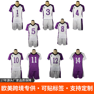 ชุดนักเรียนโรงเรียนมัธยมชิราโทริซาวะ ไฮคิว คอสเพลย์ เสื้อเจอร์ซีย์แขนสั้น ชุดกีฬาทีม ยูนิเซ็กซ์ โพลีเอสเตอร์ พิมพ์ลายแบบซับลิเมชั่น - Product Image 1