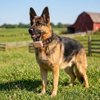 Collier GPS intelligent pour animaux de compagnie avec étanchéité IP67, suivi en temps réel, localisateur anti-perte pour chiens et chats