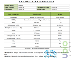 ผงอะกาโรสความบริสุทธิ์สูง CAS 9012-36-6 เกรดสำหรับเจลอิเล็กโทรโฟรีซิส สำหรับการวิเคราะห์ DNA RNA ในชีววิทยาระดับโมเลกุล - Product Image 2