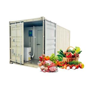 헬로 리버 브랜드의 새로운 모바일 20 피트 컨테이너 냉동고 냉장 보관실 육류 설치용 이동식 냉동 장치 - Product Image 5