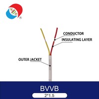 Vente en gros de câble électrique de haute qualité 300/500V à 2 brins en cuivre flexible pour isolation en PVC
