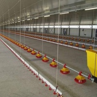 Machine d'alimentation de poulet automatique complète de ferme avicole de conception avancée