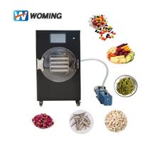 China Fabriek Verkoper Mini Huishoudelijke Lyofilisator Kleine Vacuüm Vriesdroger Machine Fruit Groentesap Voedsel