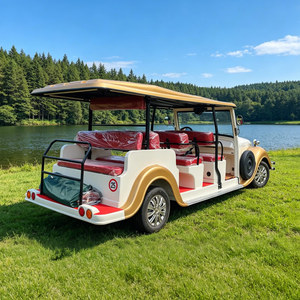 Bus de tourisme de luxe, classique et vintage, pour le golf et les visites, véhicule de type voiture classique - Product Image 1