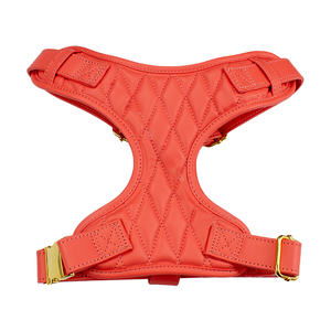 Set kerah dan tali kulit Pu untuk anjing, Set kerah dan tali kulit sapi asli <span class=keywords><strong>Harness</strong></span> hewan peliharaan kualitas tinggi tahan air - Product Image 5