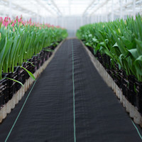 Toile anti-herbe agricole en PP, tapis anti-mauvaises herbes, utilisation domestique, couverture anti-herbe, tapis anti-mauvaises herbes, paillis