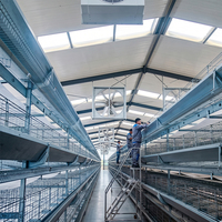 Offre Spéciale : Cage à Poules Pondeuses Manuelle Type A pour 2000 Poulets – Cage de Batterie pour Poules Pondeuses sans Électricité pour Ferme Avicole