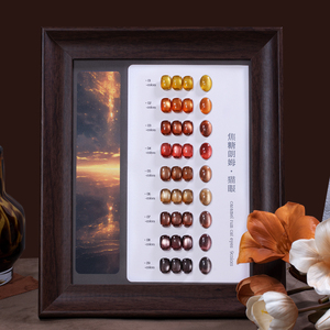 ZRKGEL Free Sample OEM 9-Farben-Katzenaugen-Gel-Set Hochwertiges Handelsmarken-HEMA-und TPO-freies Magnet gelset für Herbst und Winter - Product Image 1