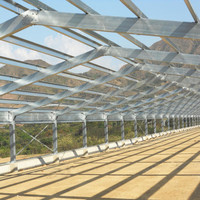 Naves Avícolas Industriales Prefabricadas de Acero / Granjas de Pollos de Engorde / Casas Avícolas Rápidas para Negocios de Cría de Aves