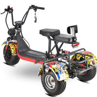 Triciclo Eléctrico de Tres Ruedas para Adultos, Modelo 2025, 800w, Económico, Mini, de Dos Plazas