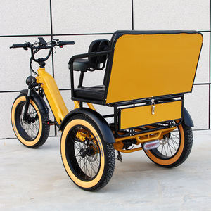 Triciclo Eléctrico de 3 Ruedas con Suspensión Delantera, Tracción Trasera, Bicicleta de Carga Familiar, Neumáticos Anchos, E-Trike para 2 Personas, para Turismo - Product Image 3