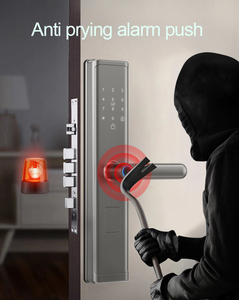 Cerradura Digital Inteligente TYSH Tuya Zigbee con WiFi, Seguridad para el Hogar, Huella Dactilar Biométrica, Cerradura Inteligente para Puerta de Madera - Product Image 3