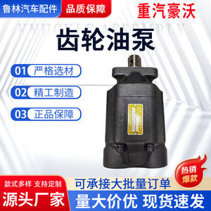 อะไหล่รถยนต์ Howo ขายส่ง ปั๊มน้ำมันเกียร์ใหม่ 14571251 พร้อมปั๊มน้ำมันเครื่องด้านหลังสำหรับรถบรรทุก - Product Image 2