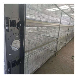 <span class=keywords><strong>Cage</strong></span> d'élevage de pigeons fabriquée en usine avec mangeoire et abreuvoir - Product Image 4