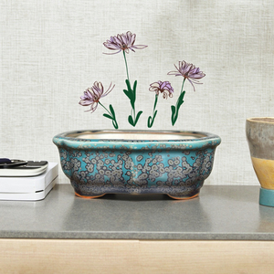 Macetas de Cerámica Modernas con Forma Floral, Ecológicas, Esmaltadas, para Bonsái, Plantas de <span class=keywords><strong>Interior</strong></span>, Macetas de Lujo - Product Image 4