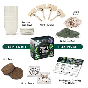 Professional customization indoor garden succulent plant kit boy & girl DIY seed grow starter tool kit