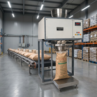 Machine d'emballage de sacs plastiques robustes 380V, équipement de remplissage automatique de poudre et granulés, capacité 1 tonne, emballage industriel 250kg