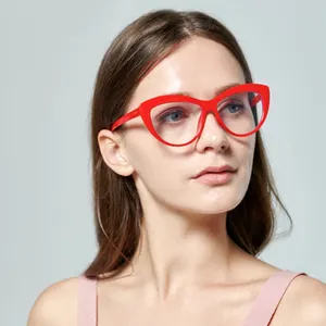 2024 New Product Cat Eye Women Fashion Eyewear Frame Transparent Optical Frames