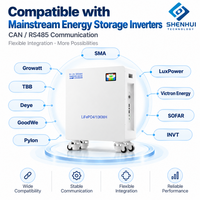 Batterie de stockage d'énergie solaire domestique 10 kWh LiFePO4 Lithium 51,2 V 200 Ah avec communication CAN RS485