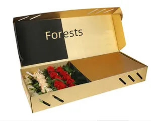 사용자 정의 무료 디자인 접는 식물 씨앗 포장 골판지 상자 꽃 배송