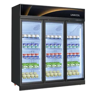 Preço de fábrica Alta qualidade Baixo Consumo de Energia Preservação Vertical e Frescura Peito Deep Ice Cream Geladeiras Congelador