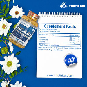 Capsules d'acides aminés BCAA de qualité sportive en gros 2:1:1 – Soutien quotidien pour l'entraînement des athlètes et des culturistes – En stock – 240 capsules - Product Image 5