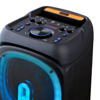 Enceinte de karaoké portable double 10 pouces avec chariot, 2 micros sans fil, lumière LED et télécommande