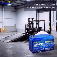 Batterie de traction pour chariot élévateur électrique LFP 24V 200Ah au phosphate de fer et de lithium haute puissance pour transpalette, certifiée FCC CE RoHS UN38.3, OEM ODM