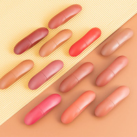 Matte Bullet Rouge À Lèvres Nude Cosmétique Maquillage Rouge À Lèvres Étanche À Base De Plantes Rouge À Lèvres MSDS 4g Bouteille De Vin Rouge À Lèvres 3 Ans