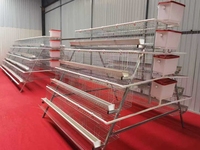 Système de cages automatiques robustes pour poulets pondeurs pour ferme avicole commerciale, nouvelle longue durée de vie