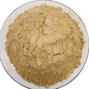 Fabricante <span class=keywords><strong>de</strong></span> Extracto <span class=keywords><strong>de</strong></span> Jengibre en Polvo, Suministro a Buen Precio, Jengibre Puro Seco y Fresco, 100 Mesh, Origen Guangxi - Product Image 3